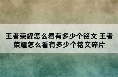 王者荣耀怎么看有多少个铭文 王者荣耀怎么看有多少个铭文碎片